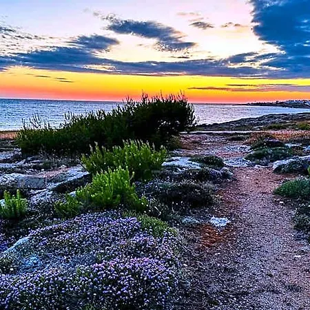 Sunset Bay 4* טורה סודה